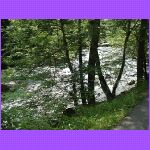 Townsend Entrance To the Smokies.jpg